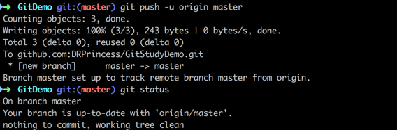 git push origin