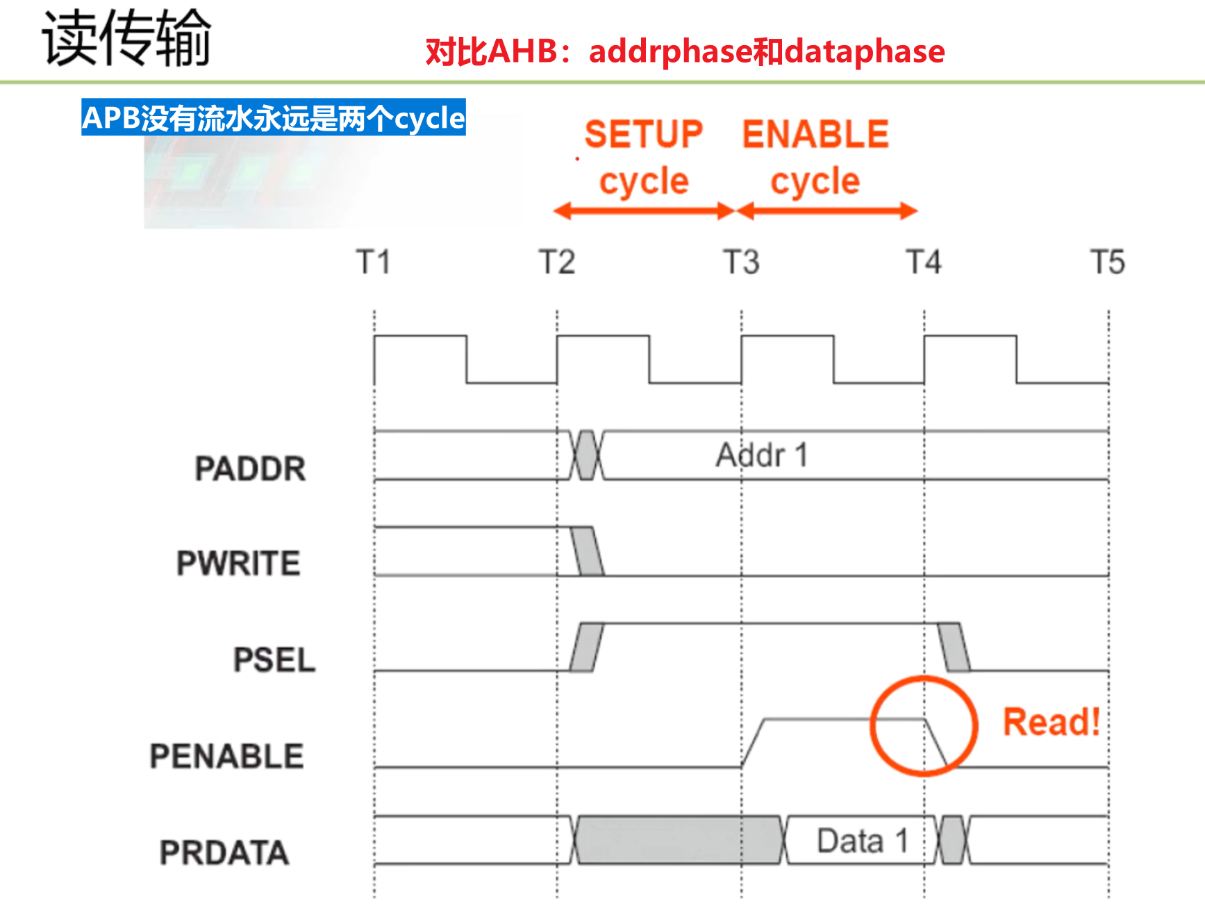 APB信号_读传输波形