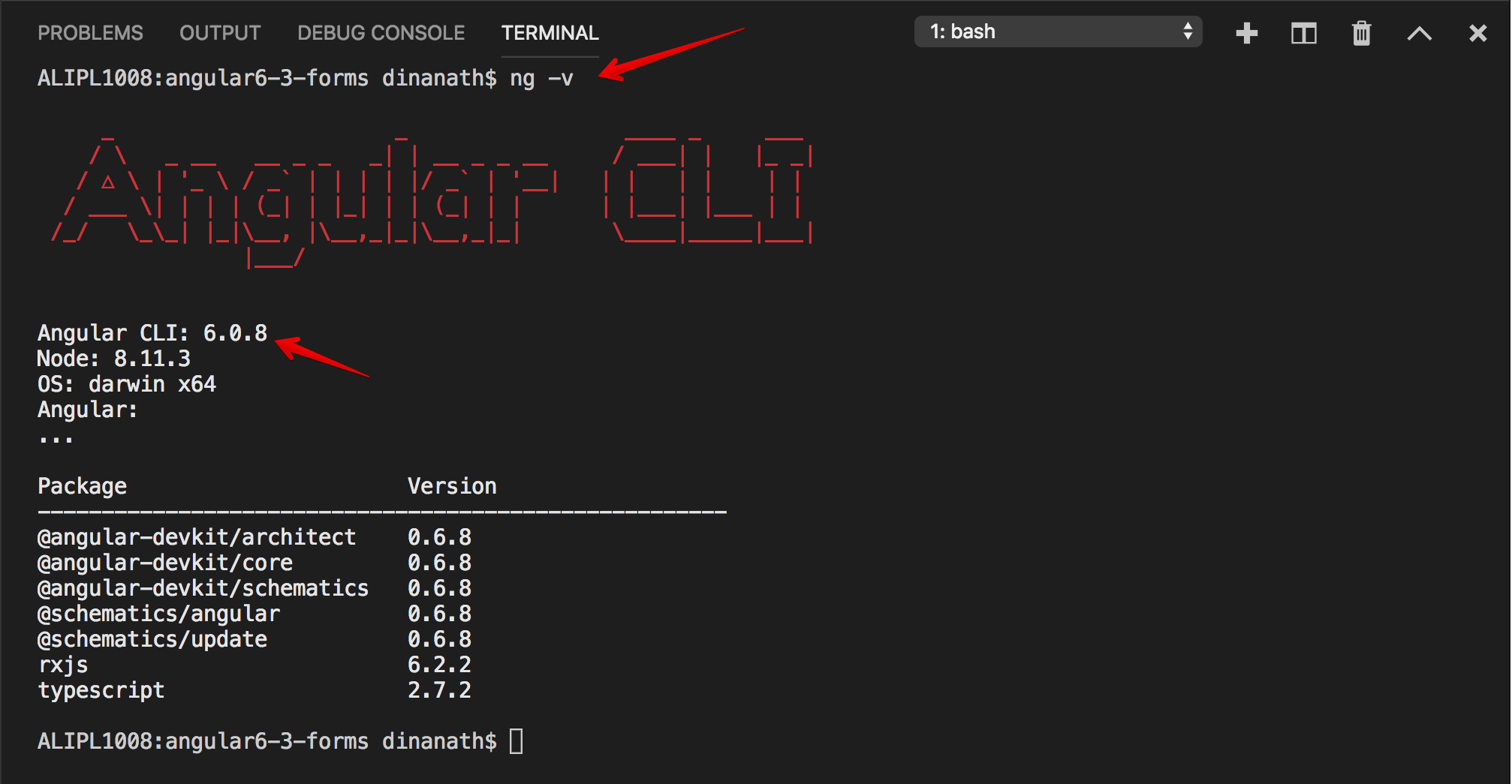 Command Ng V Or Ng Version To Check Angular Cli Version