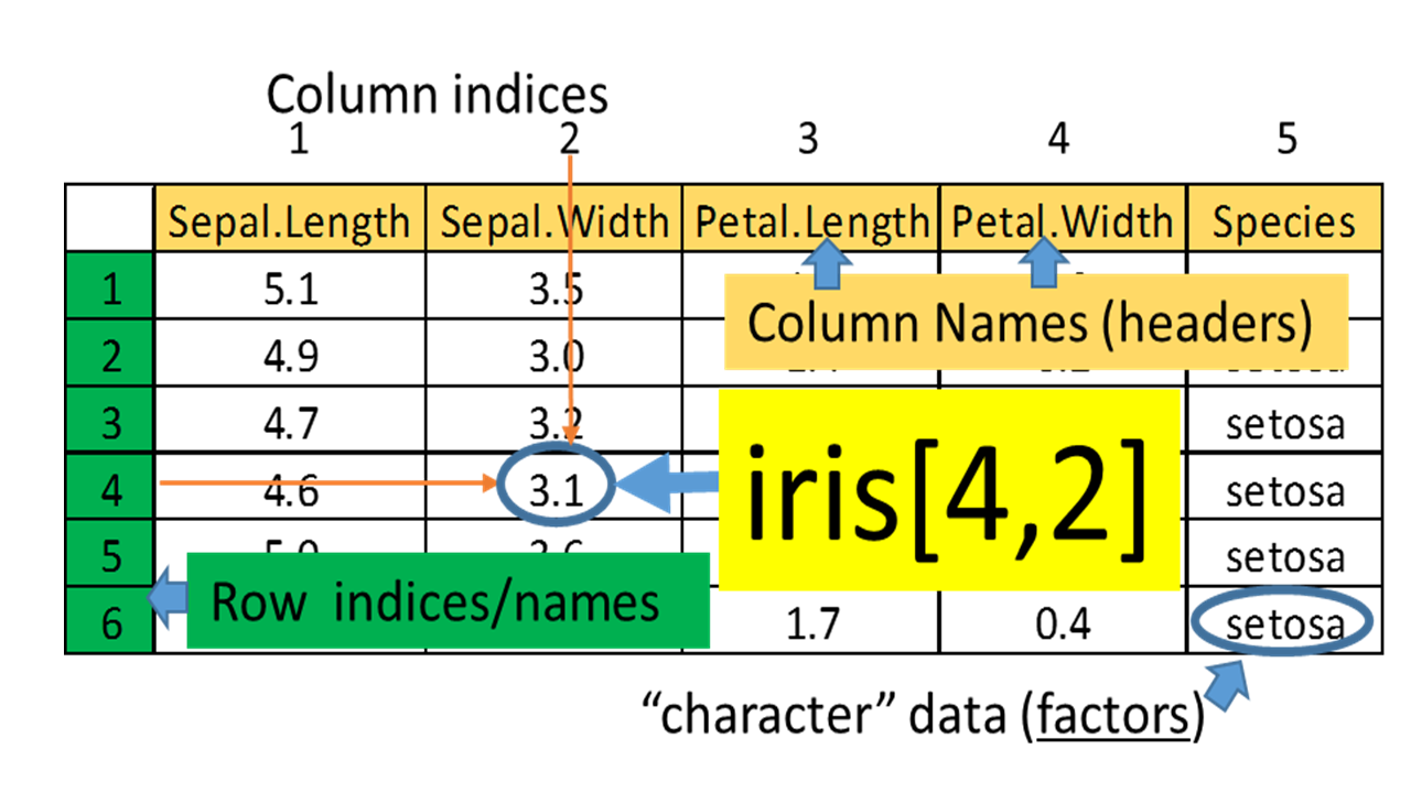 Chapter Step Into R Programmingthe Iris Flower Dataset Learn R