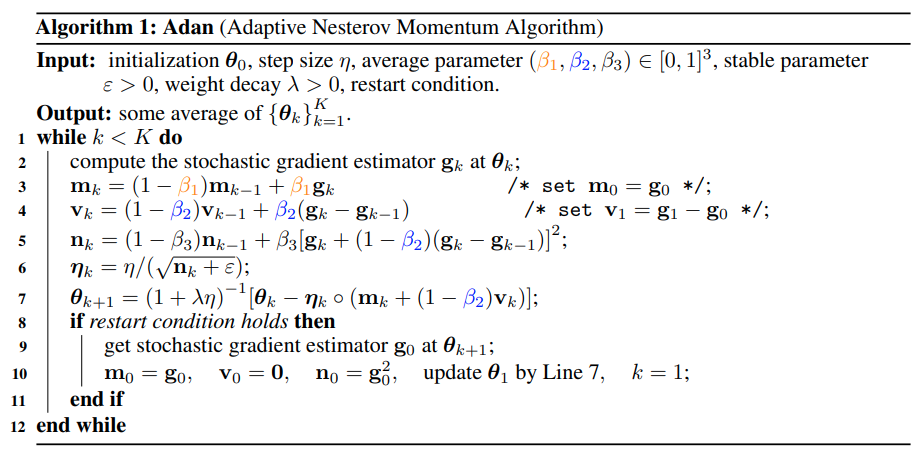 Adan Pytorch