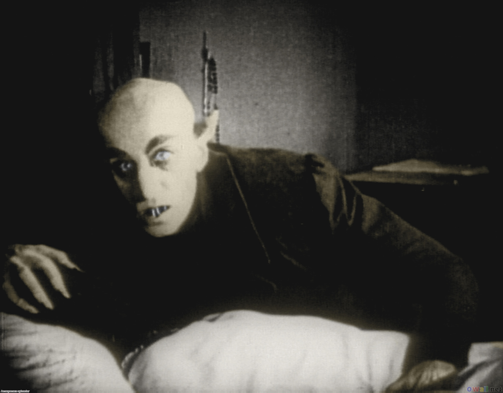 10º Café Cultural Fafire discute cinema alemão - O ator Max na pele do vampiro Schreck Conde Orlok / Nosferatu (Foto: Divulçação)