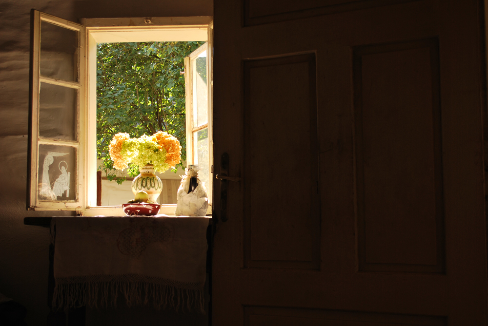 Janela panorâmica - Through the Window  (Foto: Alena Kubalcova Figurova)