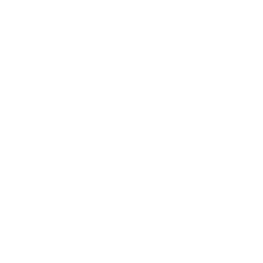 dashcam_white.png