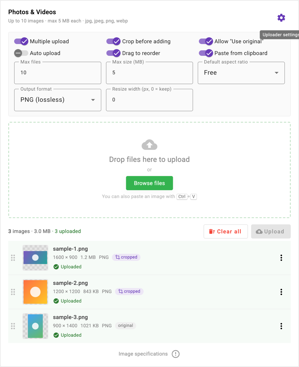 In-page settings panel
