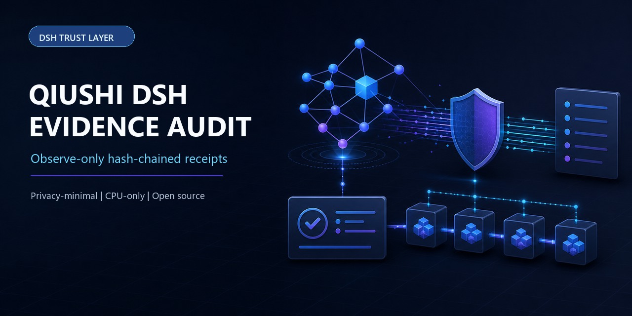 qiushi-dsh-evidence-audit screenshot 1