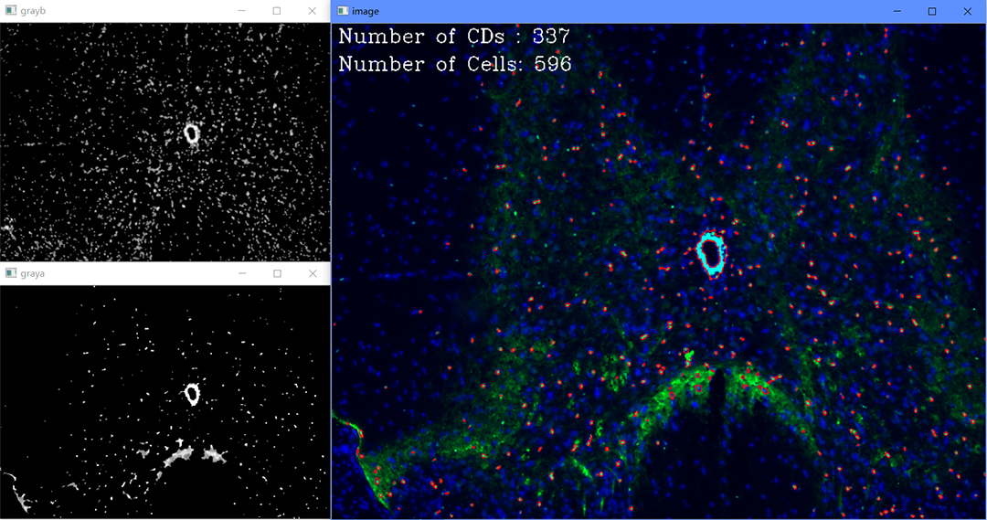 Overview of CellCount