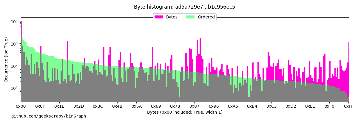 Binary byte histogram