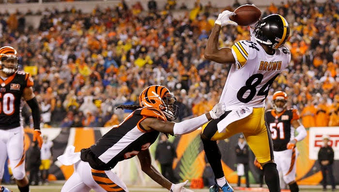 Steelers gallery image 2