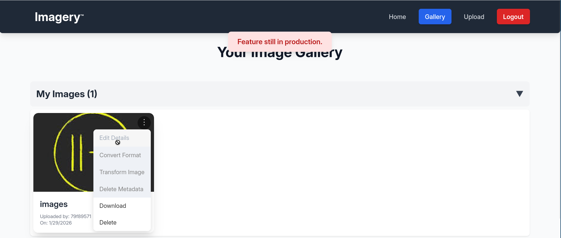 feature_still_in_production