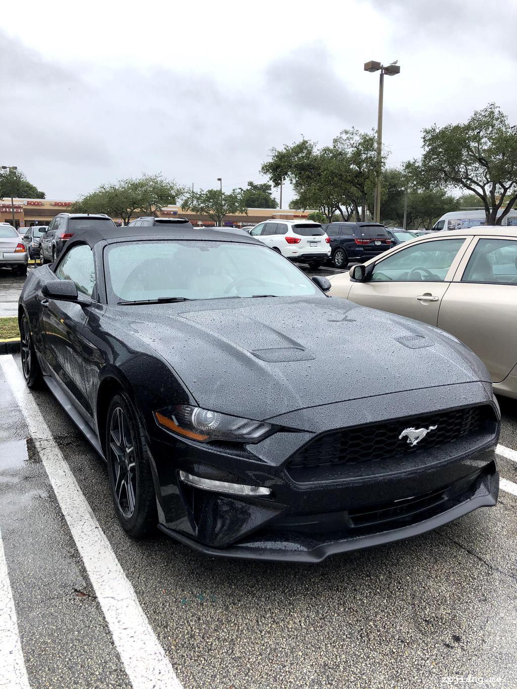 Mustang convertable.