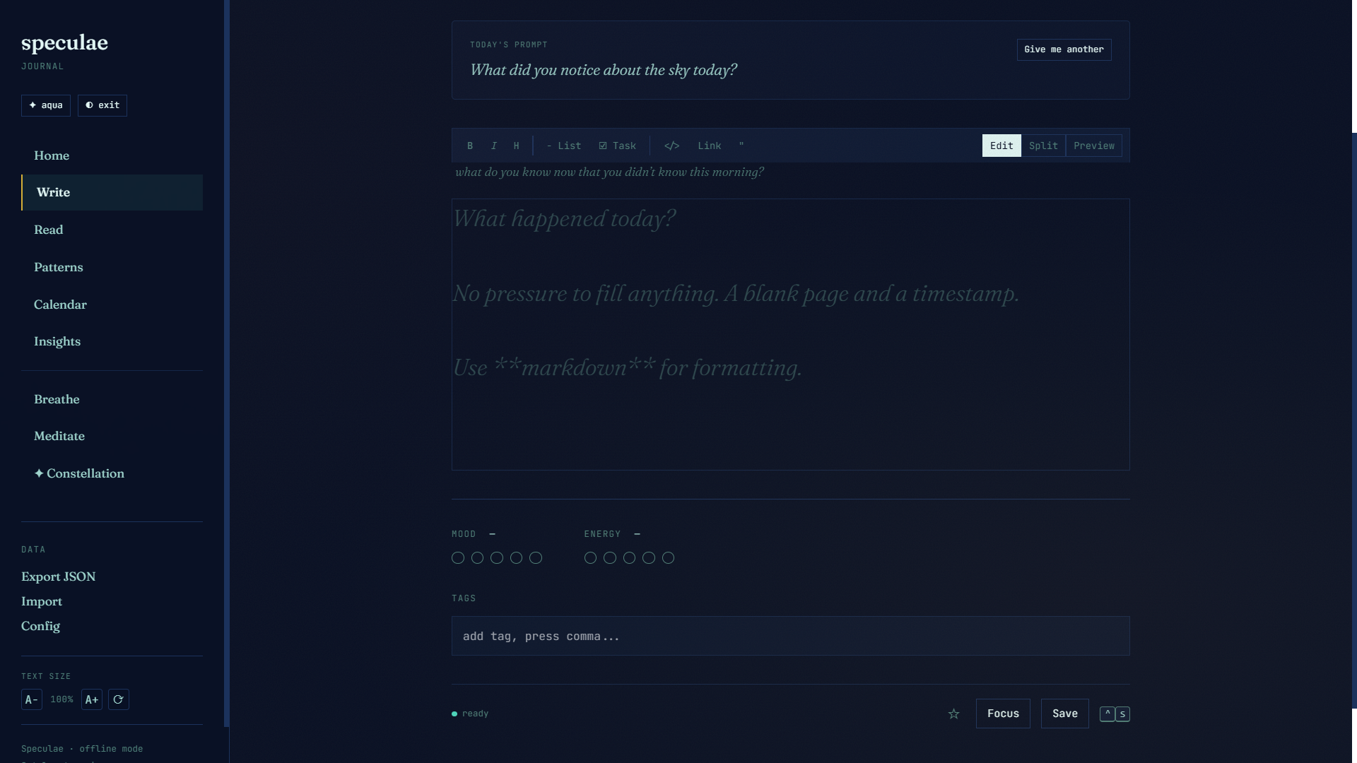 Write view — markdown editor with daily prompt, mood and energy tracking