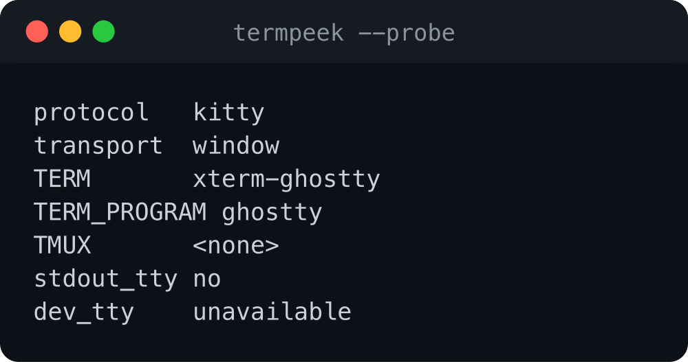 termpeek --probe output showing detected protocol, transport and terminal.