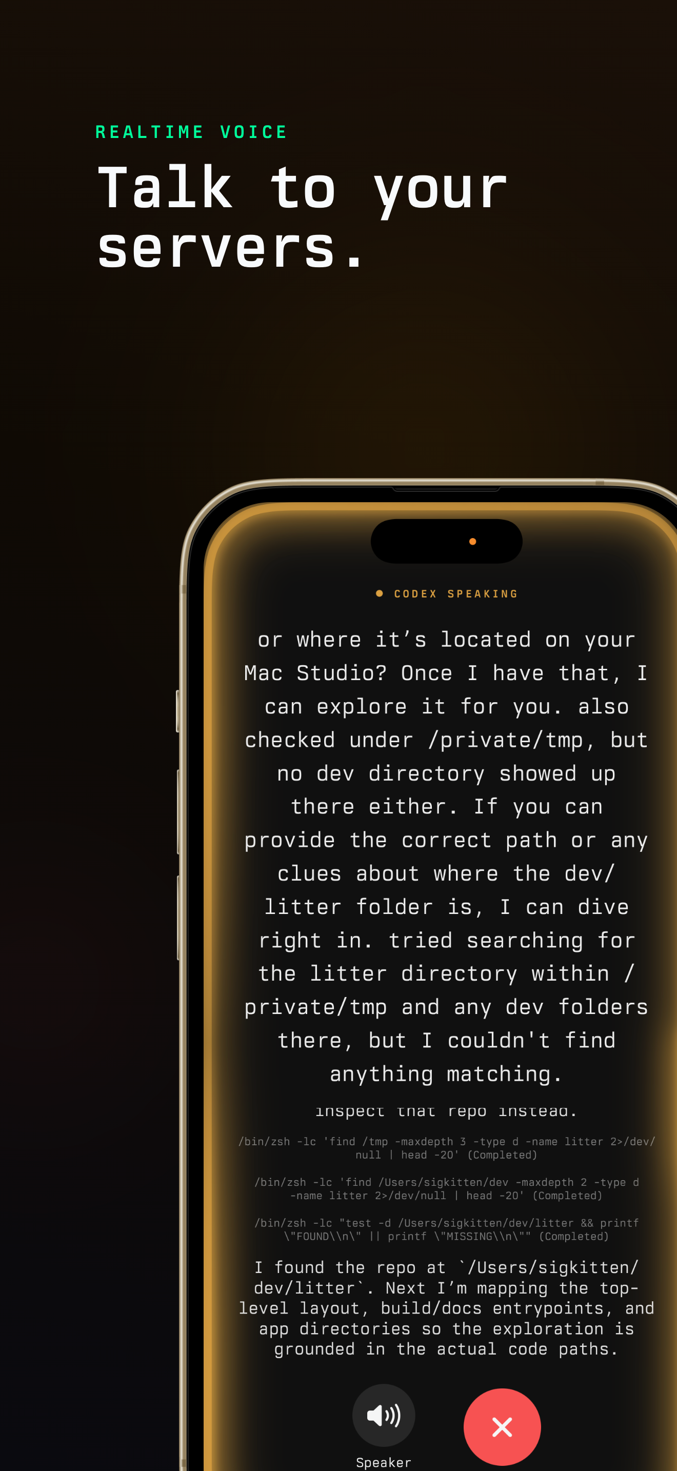 docs/screenshots/05-realtime-voice-iphone-1320x2868.webp