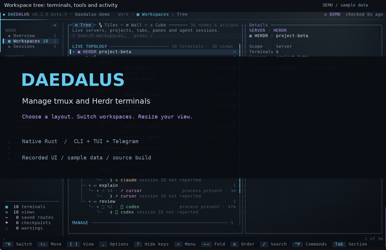 30-second Daedalus product tour: terminal tree, Tiles, Wall, Cube rotation, front-face resizing, workspace switching and search