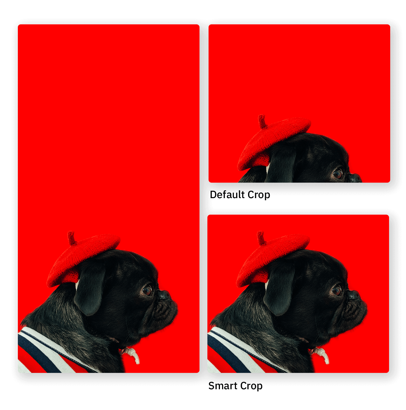 Example of an image with Azure Smart Focal Point Cropping. Screenshot of ClassifAI smart coppring