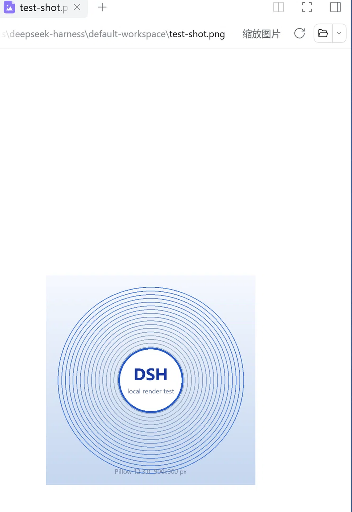 The viewer in the DSH sidebar: the tab, the active renderer label 缩放图片 and the viewed image