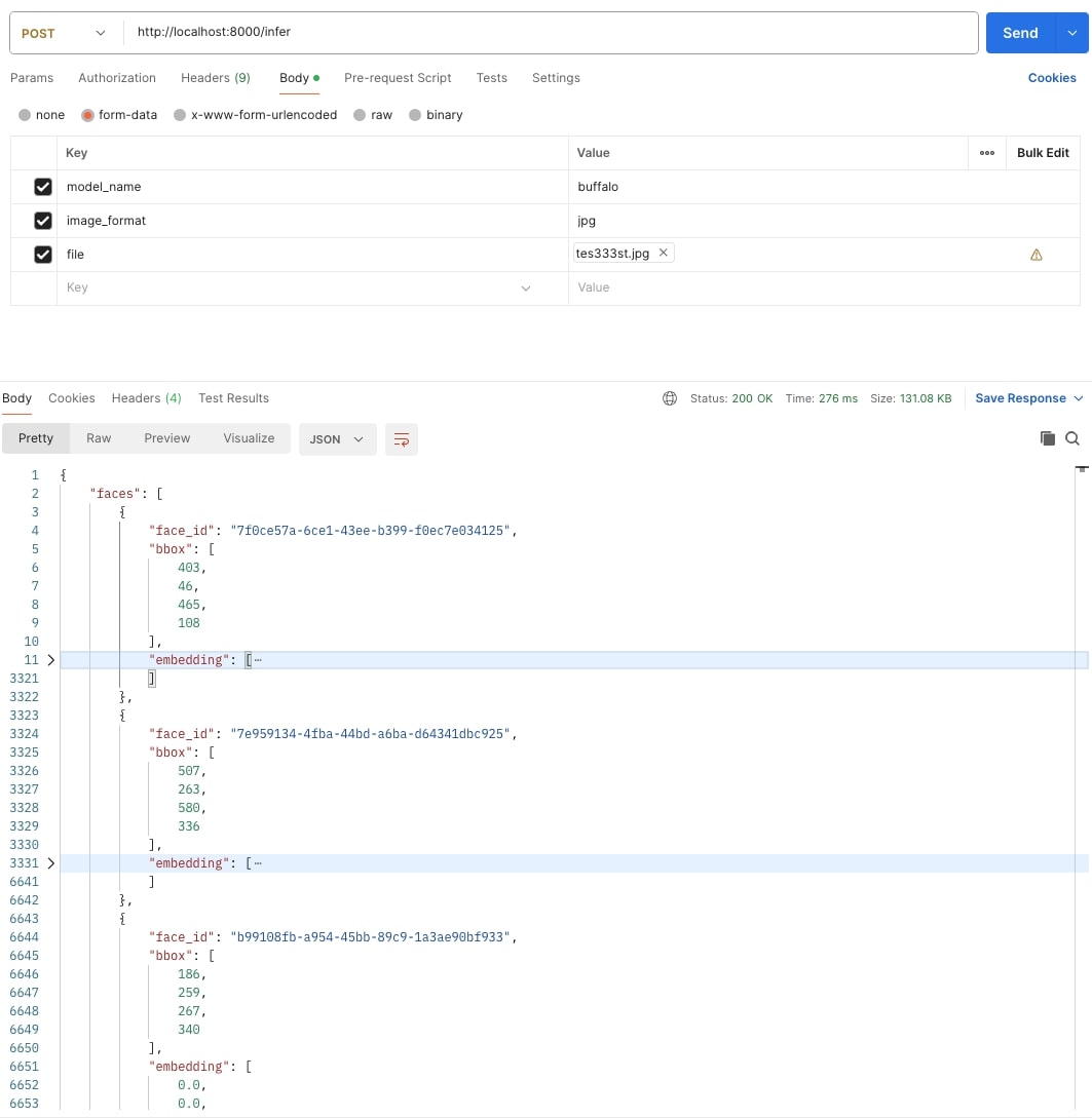 infer_api.png