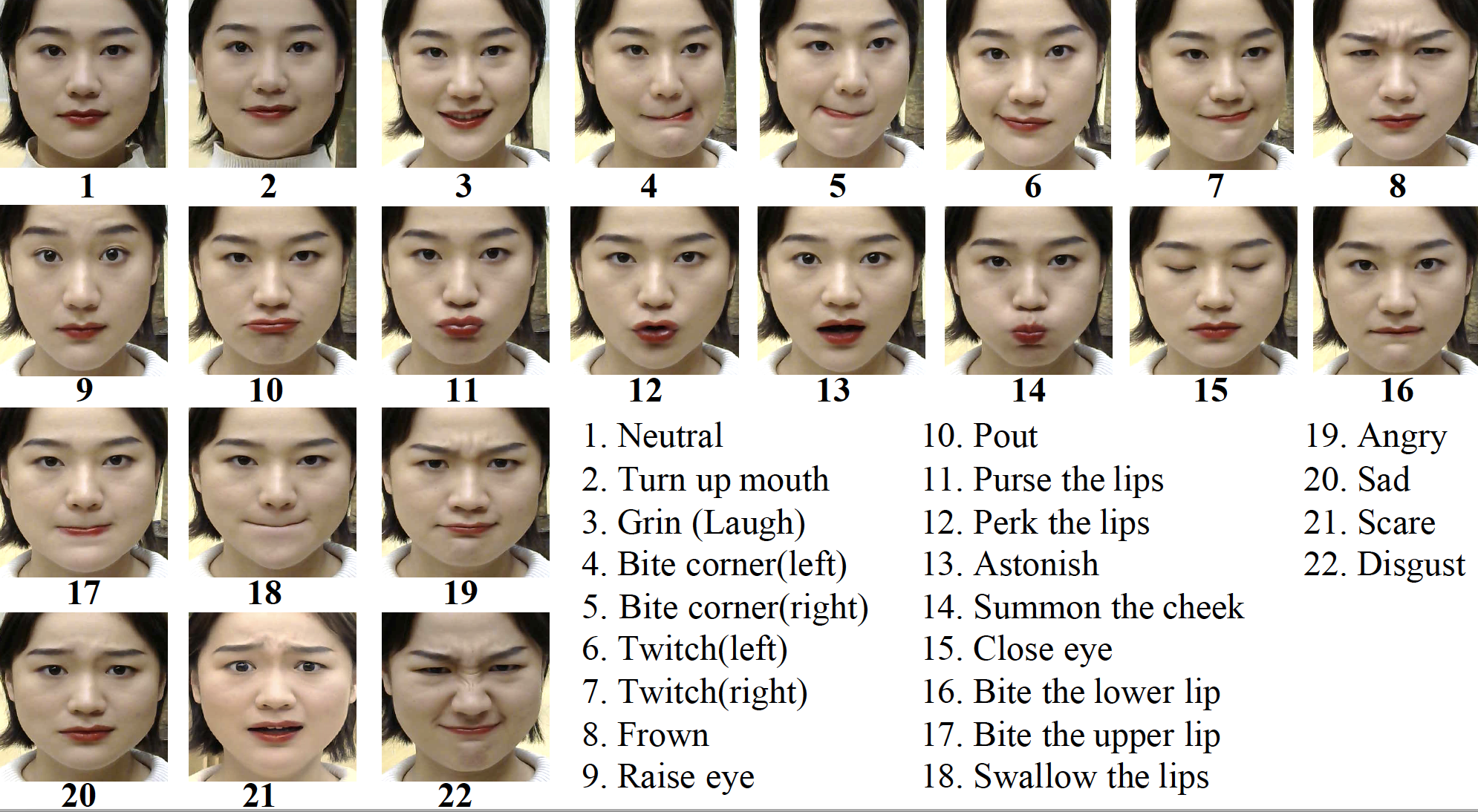 Fig1. Expression definition.