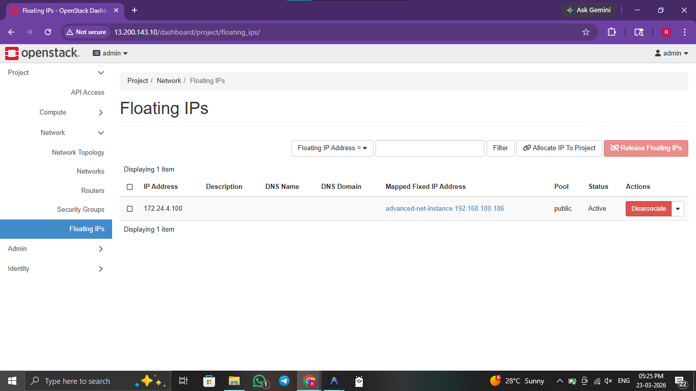 practical-09-horizon-floating-ips.png