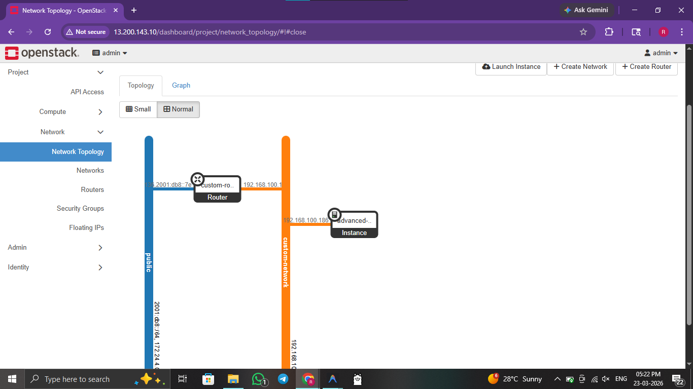 practical-09-horizon-network-topology.png