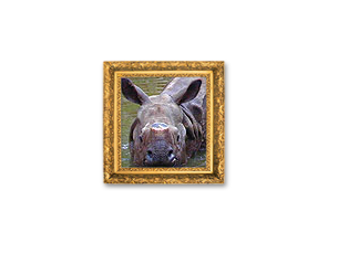 image-20220516214126146