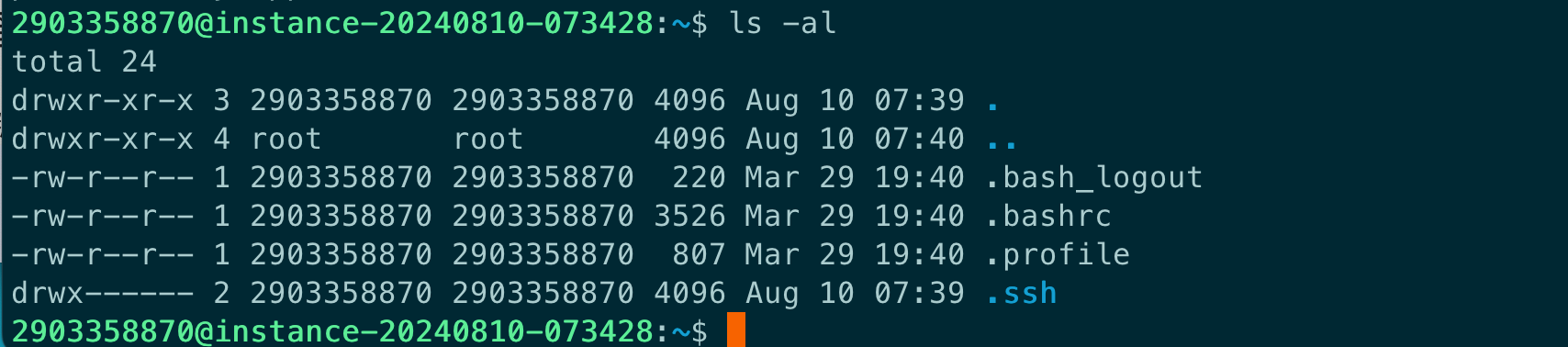 image-20240810161604554