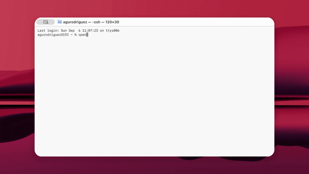 The /usage dialog