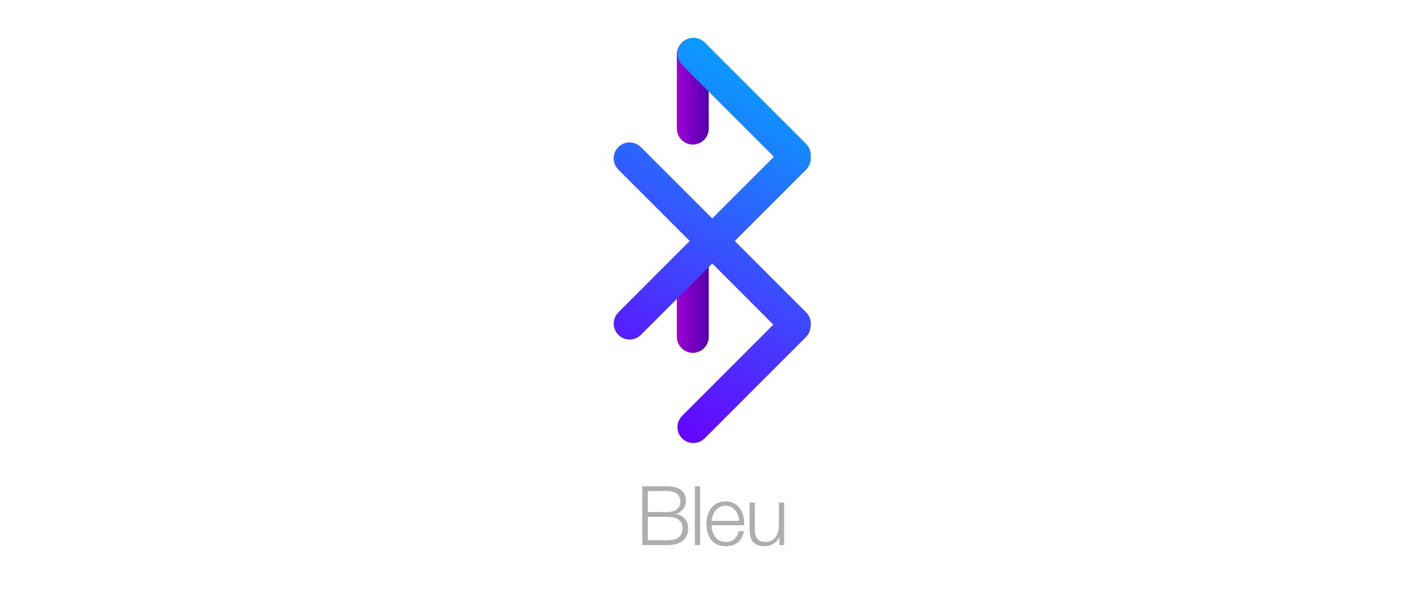 Bleu Logo