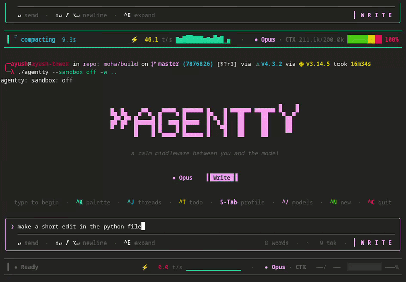 agentty streaming a turn with a tool call landing inline