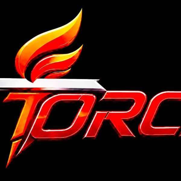 TorchAI