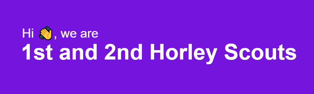 Hi (wave emoji), We are first and second Horley Scouts