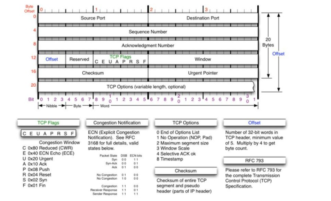 TCP Header