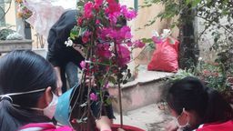 Hưởng ứng tết trồng cây năm Tân Sửu