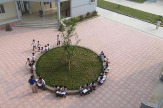 Mot_tiet_sinh_hoat_tai_truong_TH_dinh_Bang_2_tx_Tu_Son_0ffb800df9