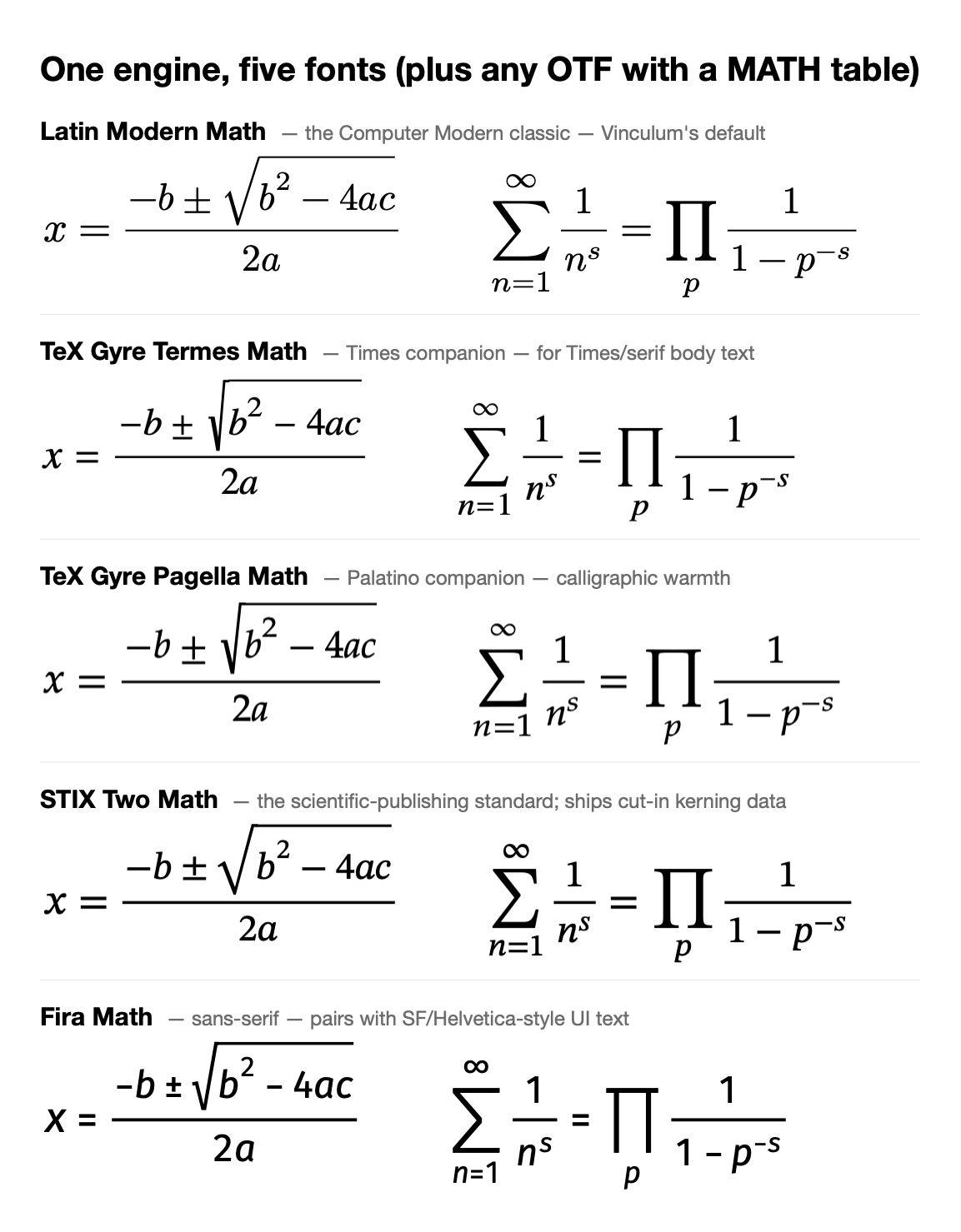 The same equation in each of the five bundled fonts