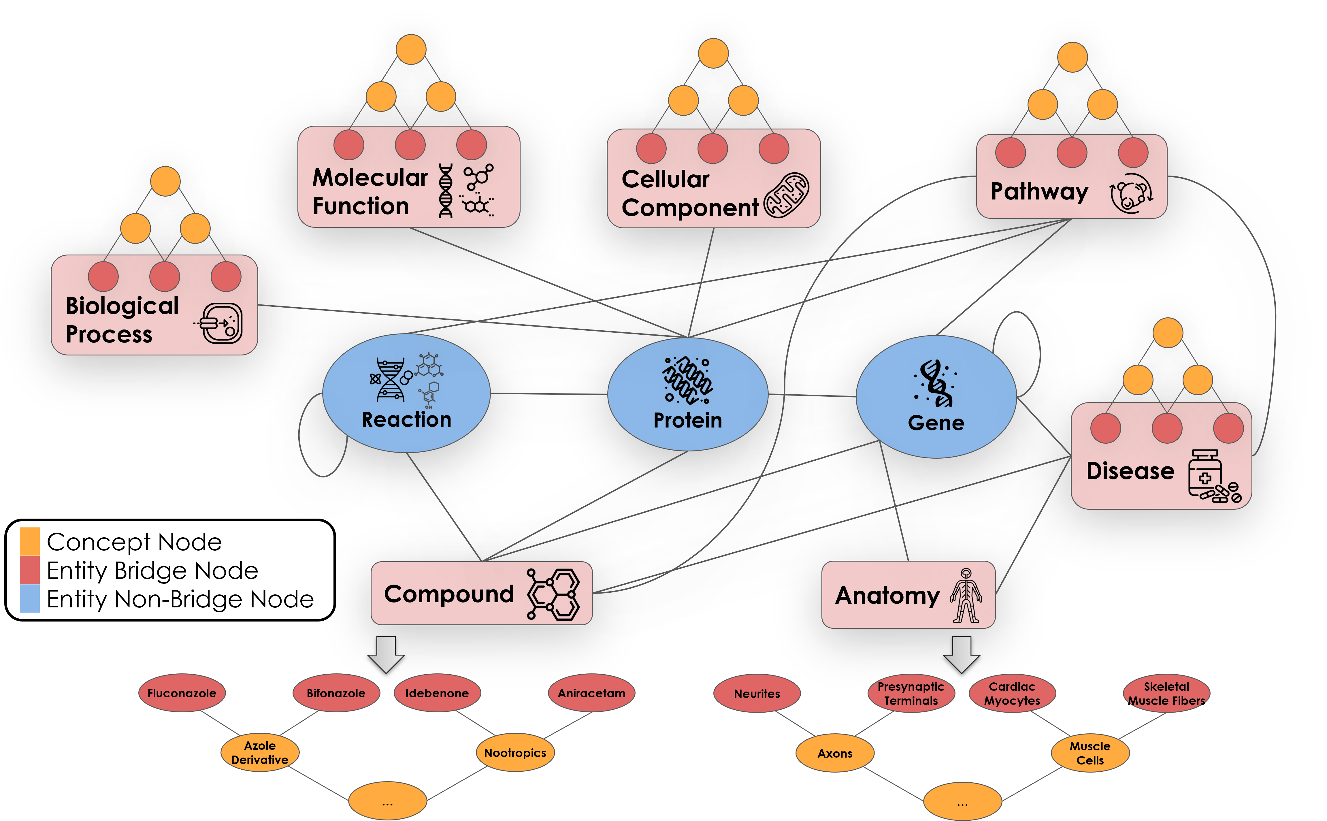 Know2BIO Schema