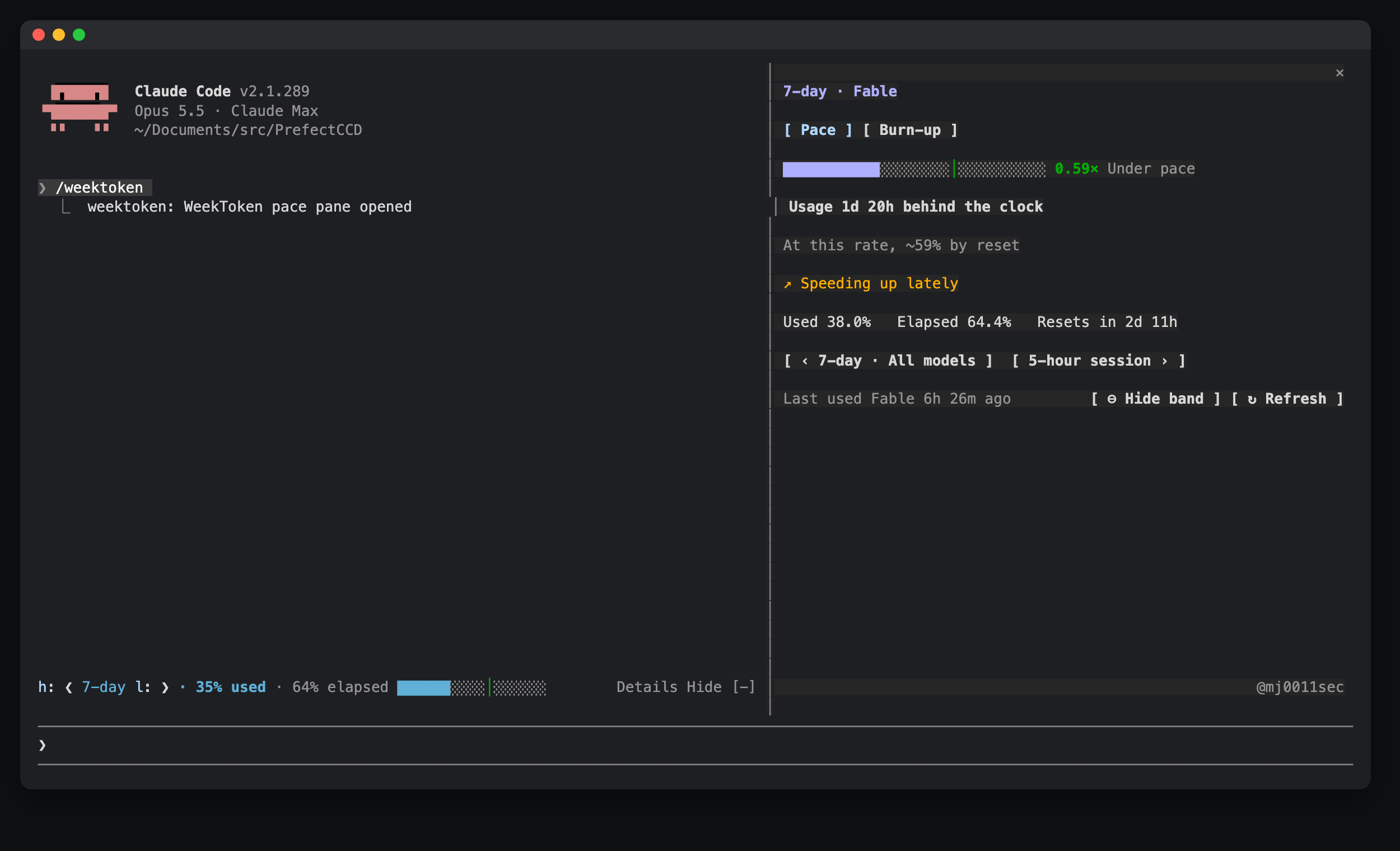 WeekToken in the terminal: the pane docked on the right, the band above the prompt