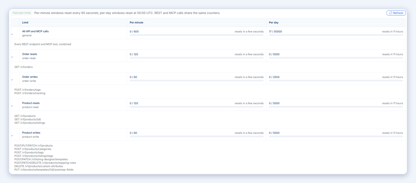 The Rate limits tab with per-minute and per-day usage for each limit and the reset time