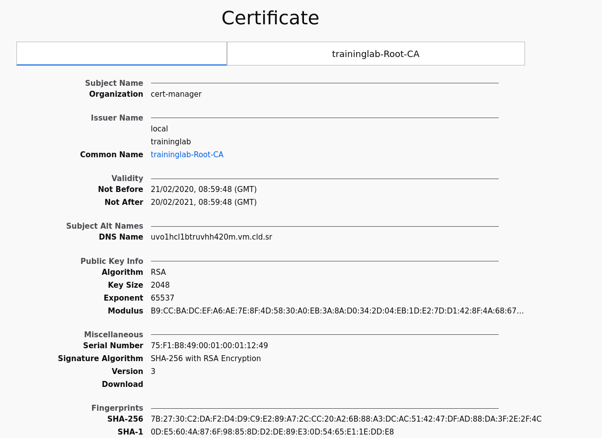 Firefox certificate details