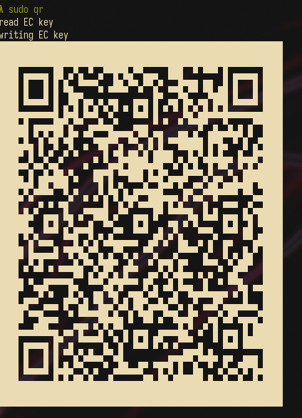 qr.png