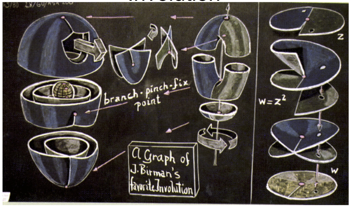 Sample from A Topological Picturebook