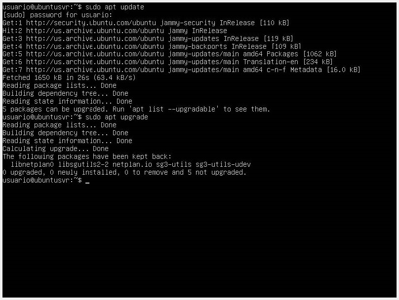 Network Services Configuration - update our operating system with sudo apt update and sudo apt upgrade