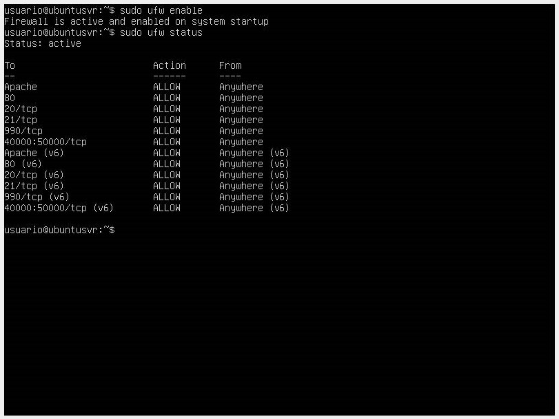 Firewall Configuration - Command sudo ufw enable