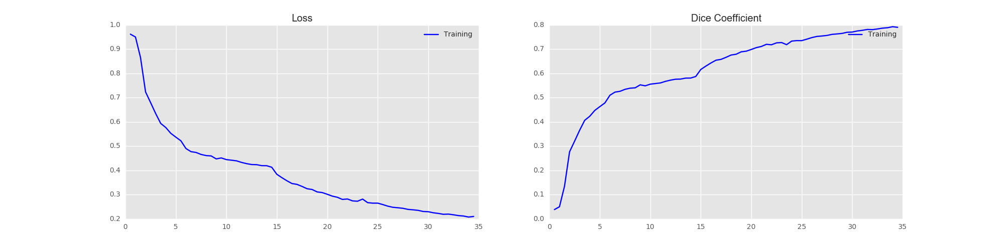 Training Results