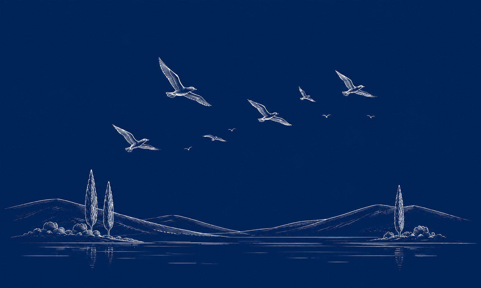 Birds flying over hills