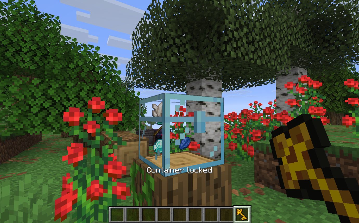 Locked container