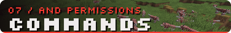 Commands