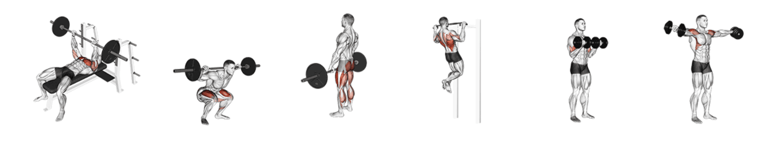 exercises-dataset