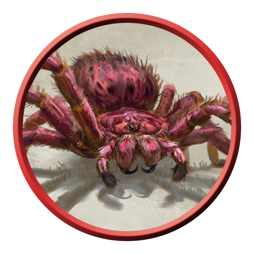Aranha Gigante